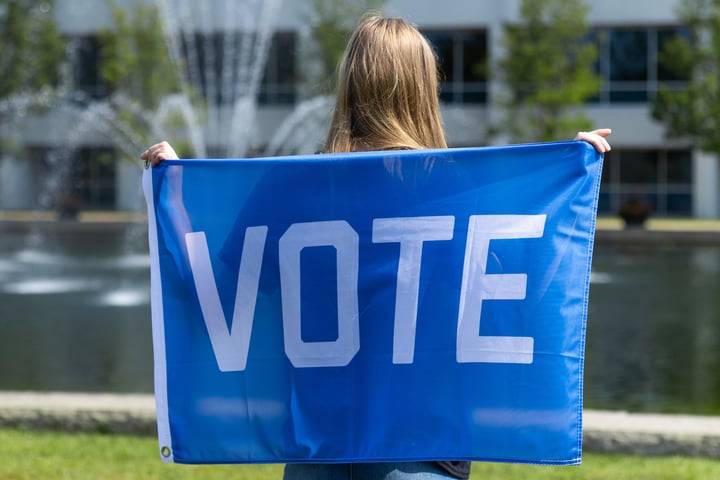 Person holding up Blue Vote sign with their back to the camera